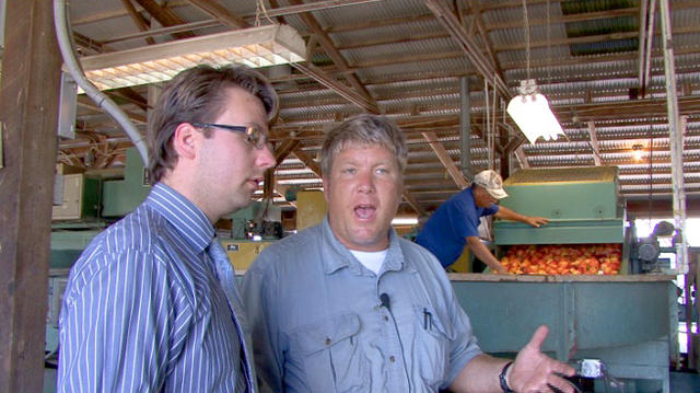 Peach Processing Plant Peach Processing Plant